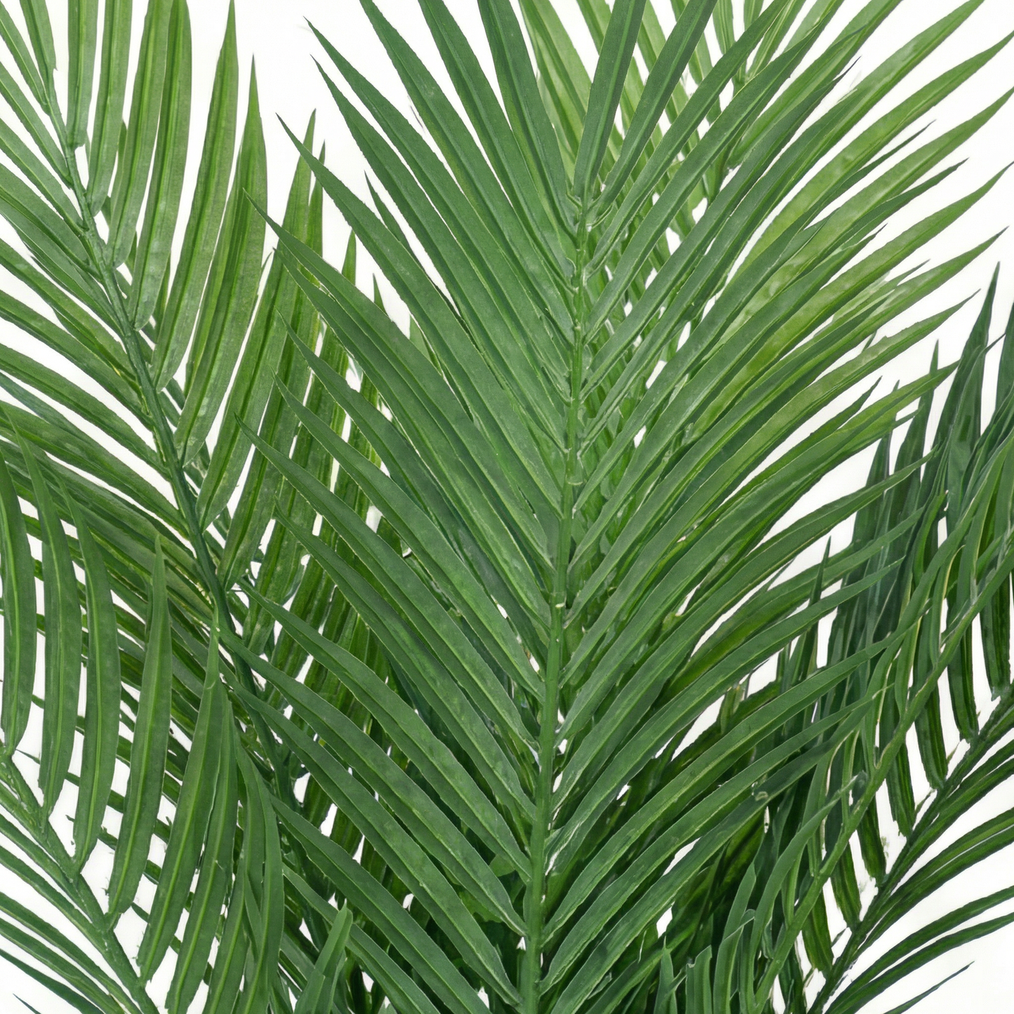Artificial Plant Paradise Palm Single-Stem Tree