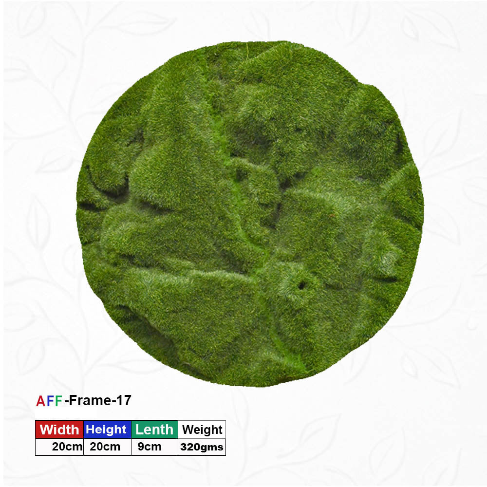 Wall-Mounted Round artificial moss Frame-50X50 cm