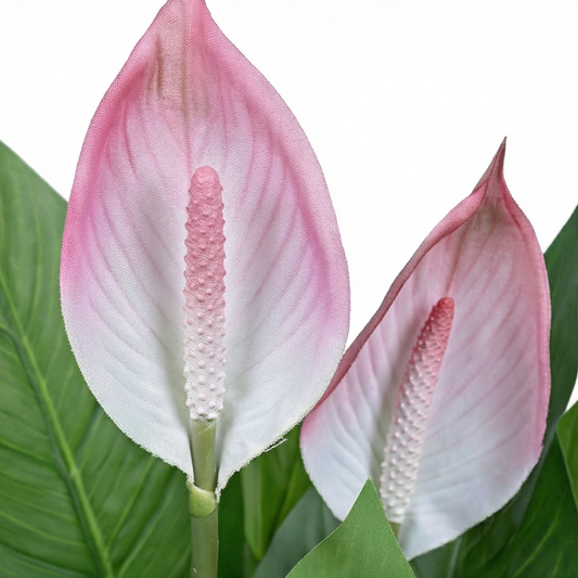 Artificial Blush Peace Lily Potted Plant