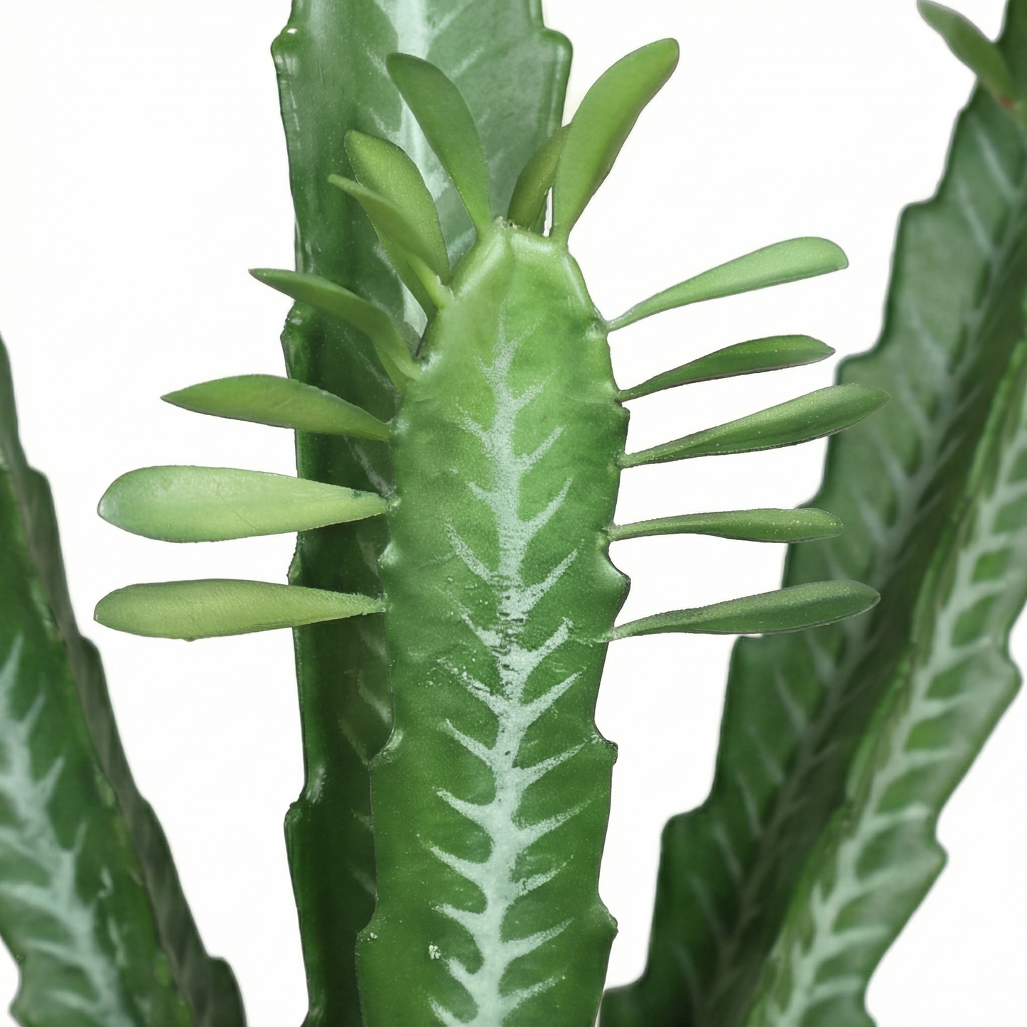 Artificial Plant Euphorbia Trigona Potted Cactus