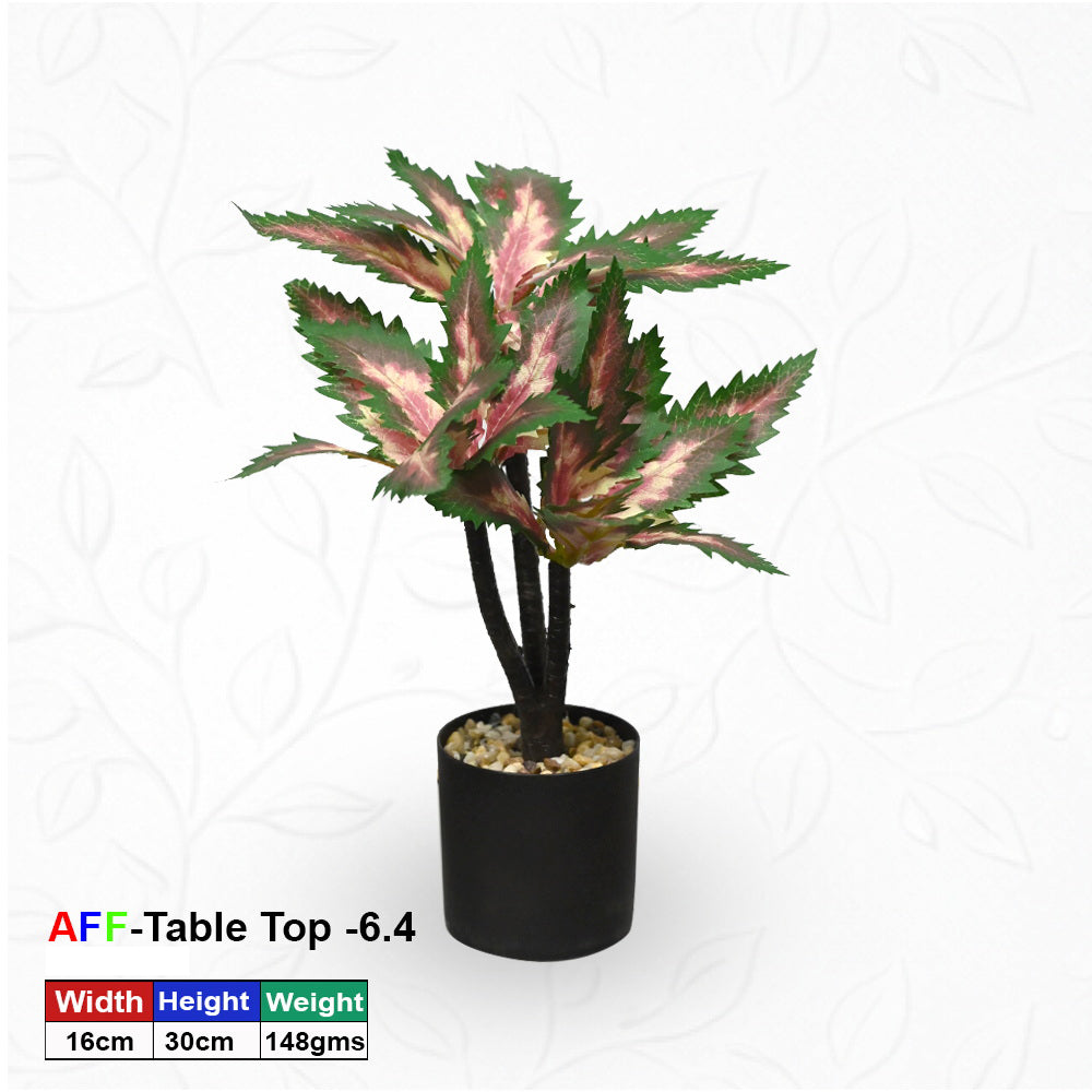 Artificial Succulent Rosé Variegated Tabletop Shrub
