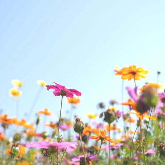 Artificial Flower Factory in Ahmedabad India
