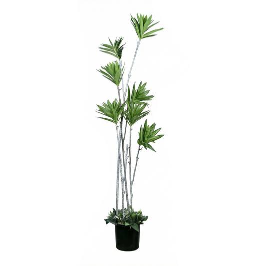 Artificial Plant Multi-Stem Staggered Dracaena Tree