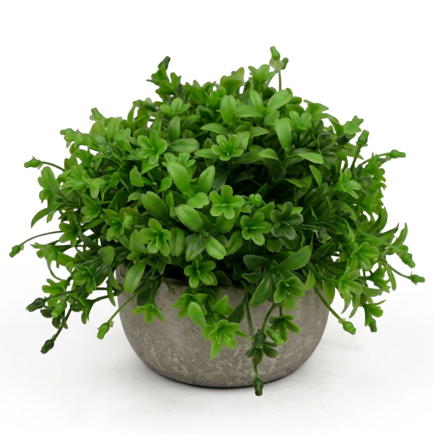 Artificial Green Foliage Plant with Pot 55 cm – Real Touch Lush Faux Greenery for Home & Office Décor