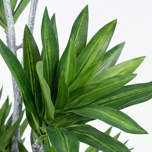 Artificial Plant Multi-Stem Staggered Dracaena Tree