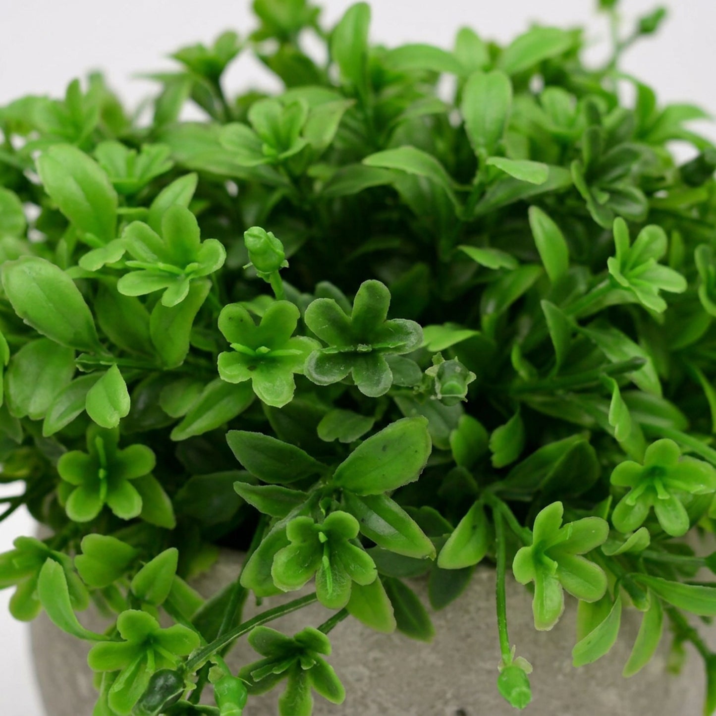 Artificial Green Foliage Plant with Pot 55 cm – Real Touch Lush Faux Greenery for Home & Office Décor