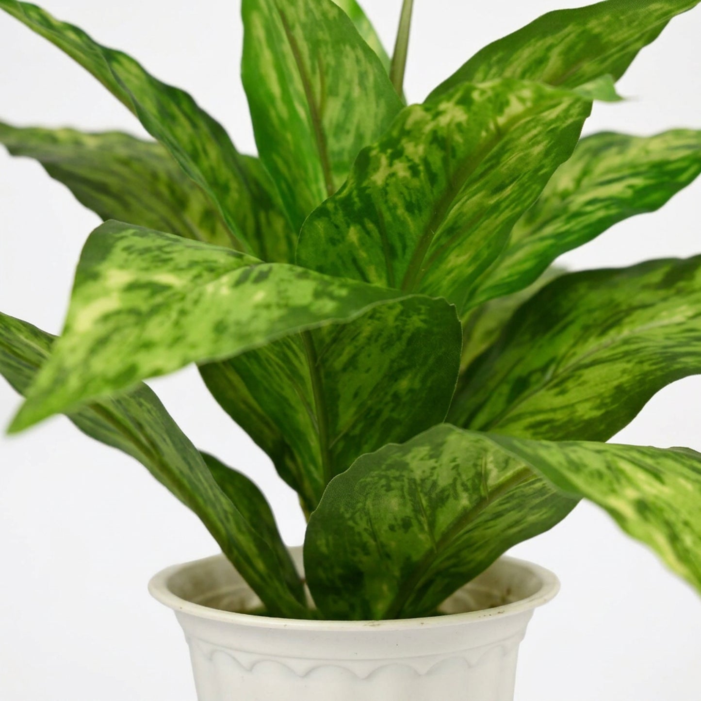 Artificial Dieffenbachia Plant with Pot 44 cm – Real Touch Green Faux Indoor Plant for Home & Office Décor