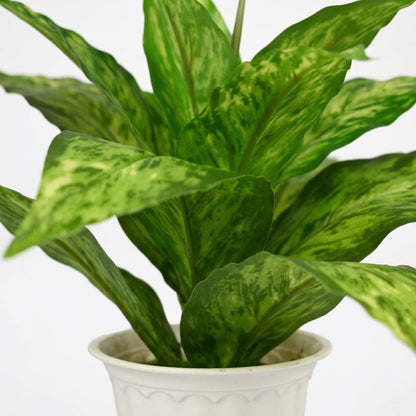 Artificial Dieffenbachia Plant with Pot 44 cm – Real Touch Green Faux Indoor Plant for Home & Office Décor
