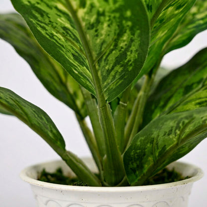 Artificial Dieffenbachia Plant with Pot 44 cm – Real Touch Green Faux Indoor Plant for Home & Office Décor