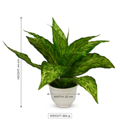 Artificial Dieffenbachia Plant with Pot 44 cm – Real Touch Green Faux Indoor Plant for Home & Office Décor