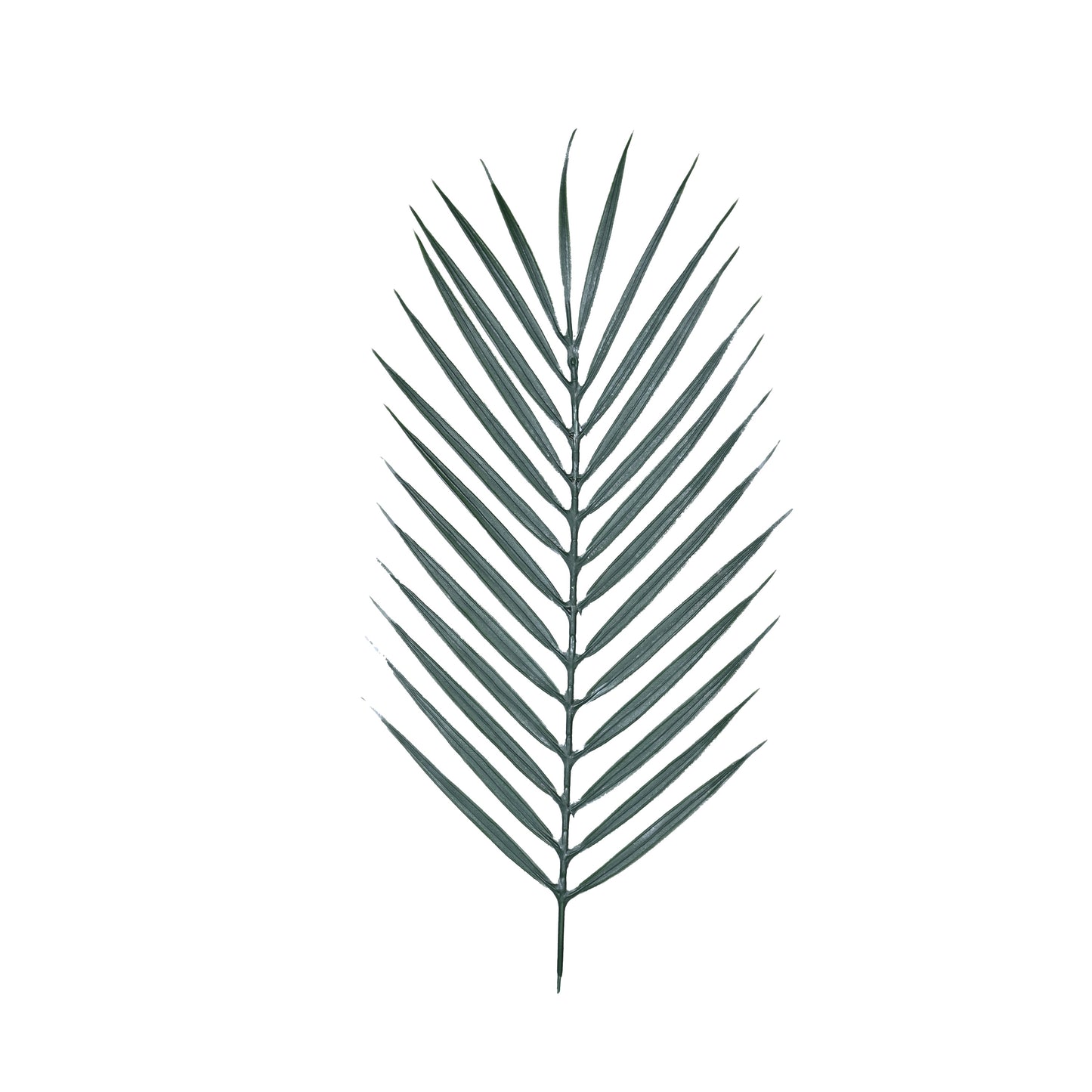 Leaf 42cm | AFF-Leaf-150