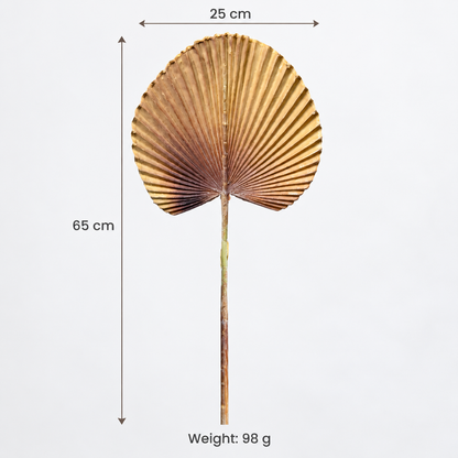 Artificial Beige & Brown Fan Palm Leaf Stick – 65 cm Decorative Stem for Vases, Home & Wedding Décor