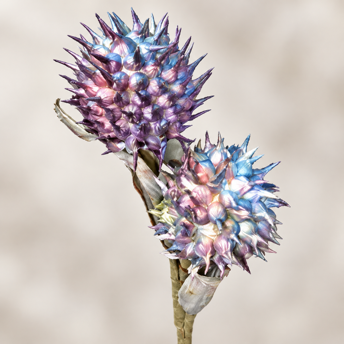 Artificial Purple & Blue Thistle Flower Bunch for Home, Wedding & Event Décor – 17 × 77 cm