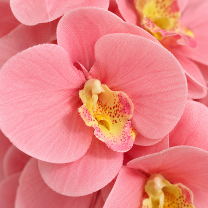 Artificial Pink Orchid Flower Stick – 100 cm Decorative Floral Stem for Vases, Home & Wedding Décor