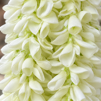 Artificial Ivory & White Floral Hanging Jhumar for Wedding & Festive Decoration – 65 cm | Pack of 10