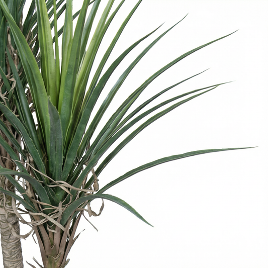 Artificial Plant Dual-Stem Dracaena Potted Tree