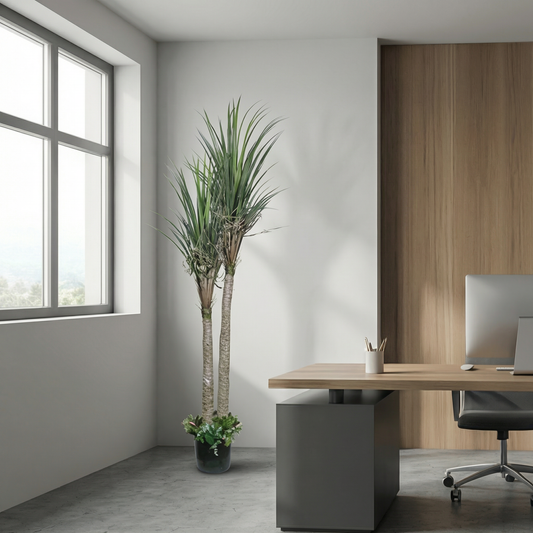 Artificial Plant Dual-Stem Dracaena Potted Tree