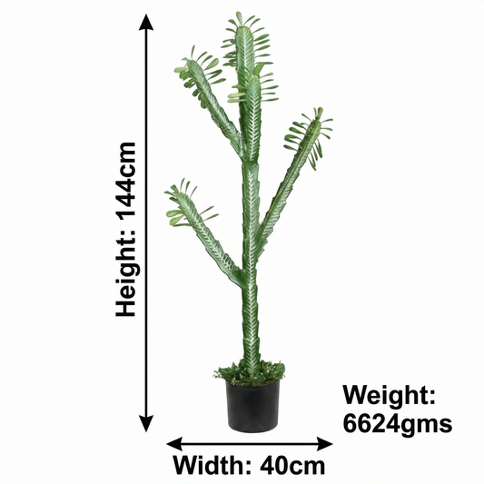 Artificial Plant Euphorbia Trigona Potted Cactus