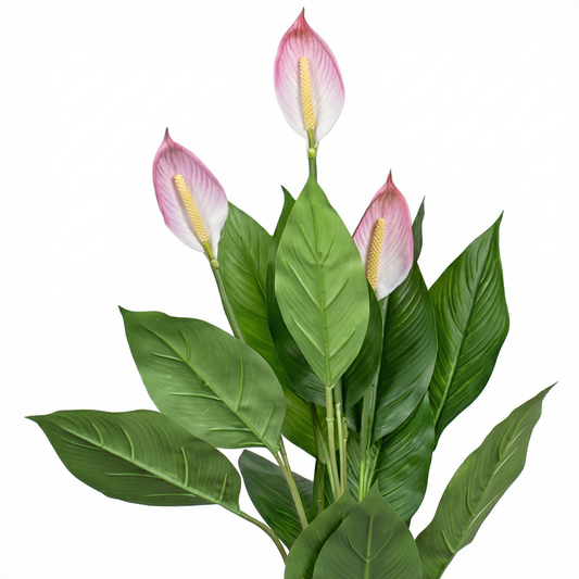 Artificial Blush Peace Lily Potted Plant