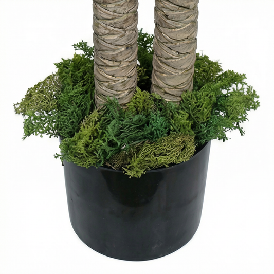 Artificial Plant Dual-Stem Dracaena Potted Tree