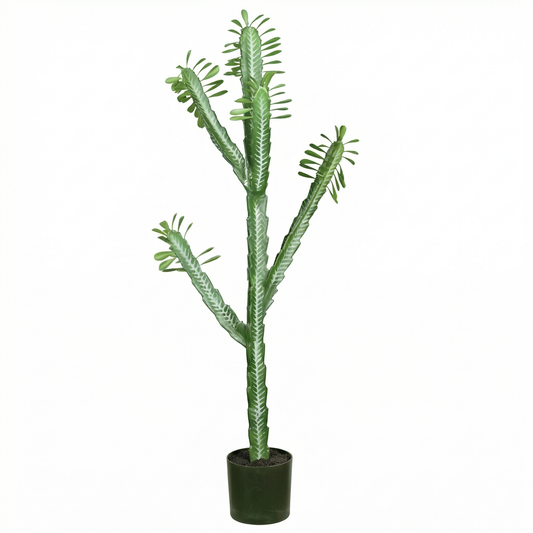 Artificial Plant Euphorbia Trigona Potted Cactus
