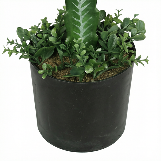 Artificial Plant Euphorbia Trigona Potted Cactus