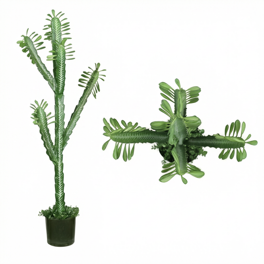 Artificial Plant Euphorbia Trigona Potted Cactus