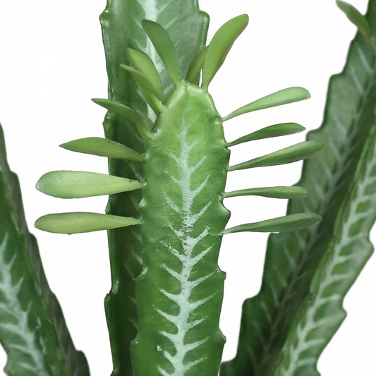 Artificial Plant Euphorbia Trigona Potted Cactus