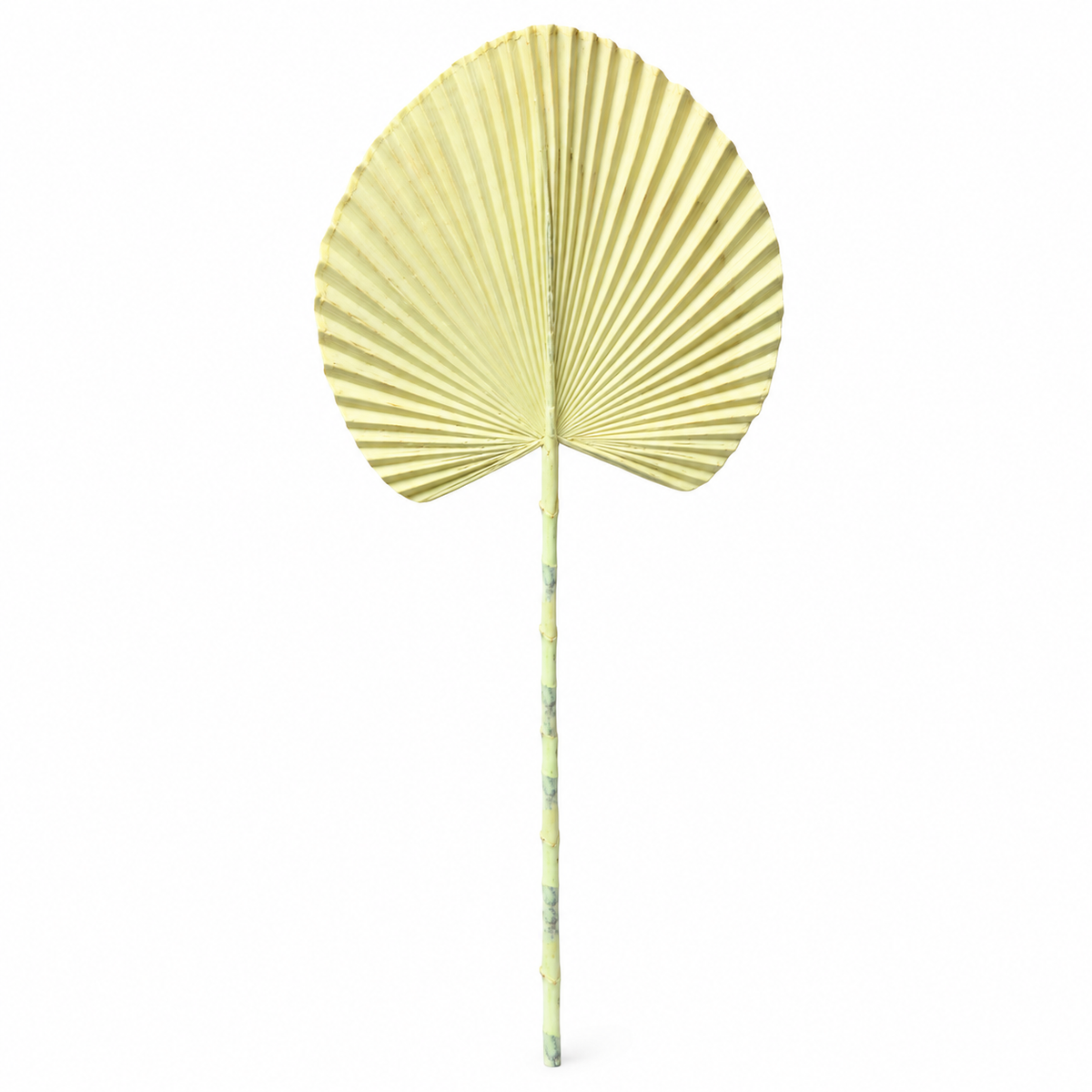 Artificial Cream Fan Palm Leaf Stick – 65 cm Decorative Stem for Vases, Home & Wedding Décor