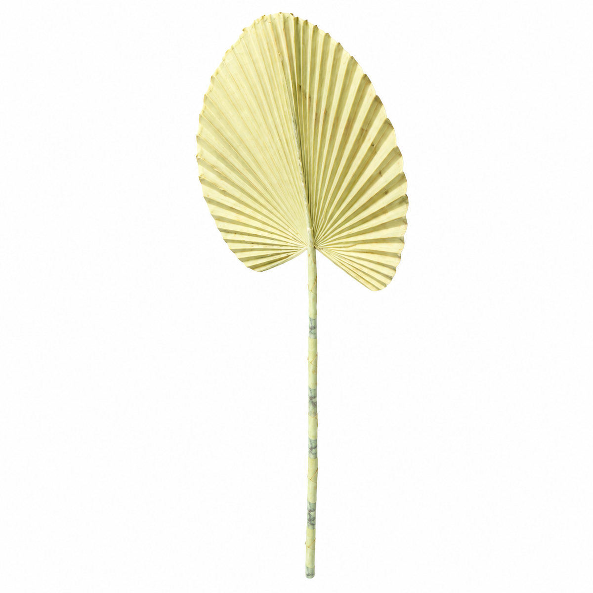 Artificial Cream Fan Palm Leaf Stick – 65 cm Decorative Stem for Vases, Home & Wedding Décor
