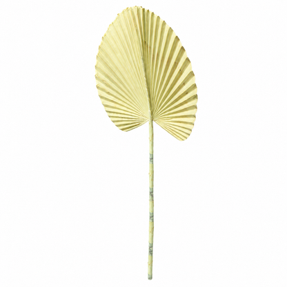 Artificial Cream Fan Palm Leaf Stick – 65 cm Decorative Stem for Vases, Home & Wedding Décor