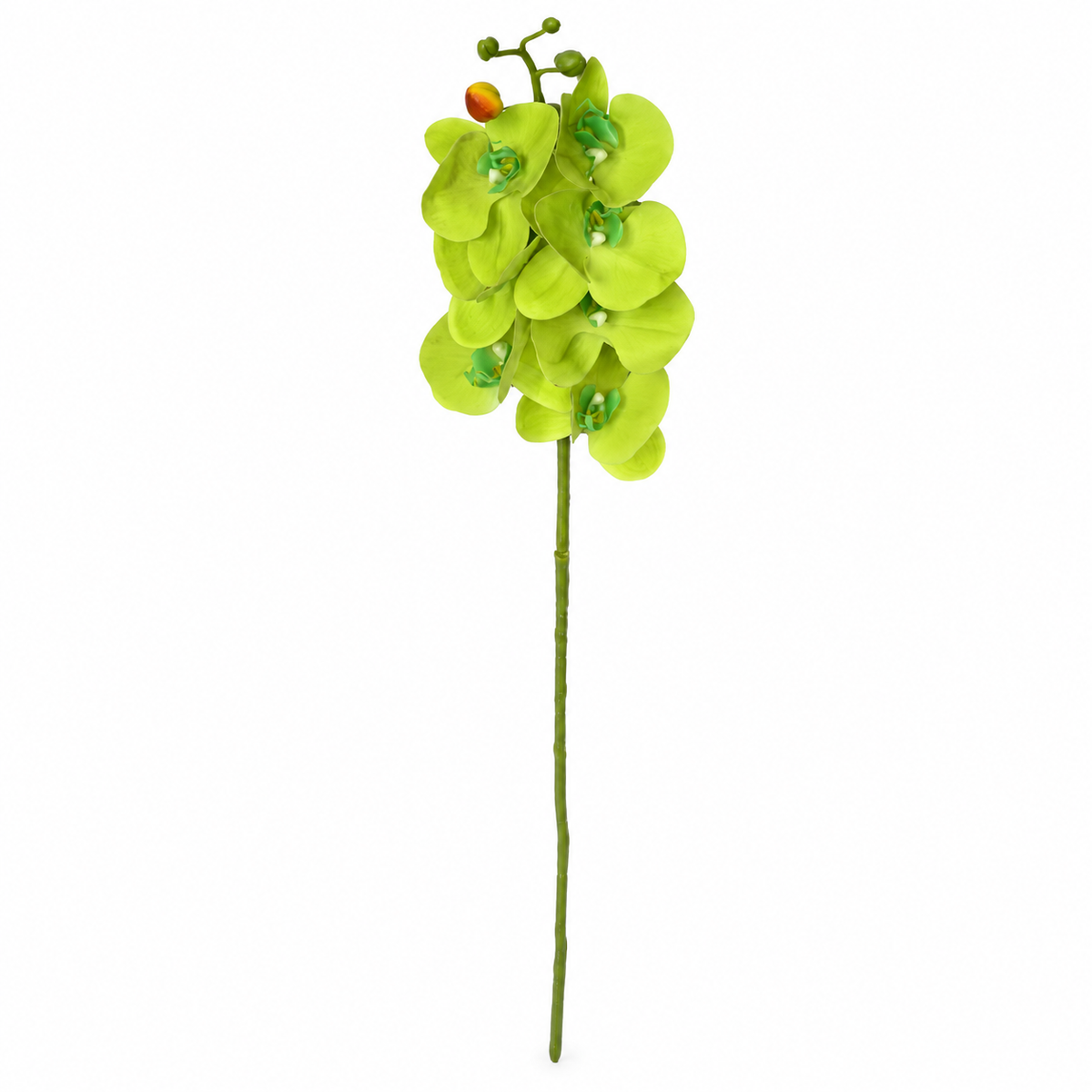 Artificial Light Green Orchid Flower Stick – 100 cm Decorative Floral Stem for Home, Office & Wedding Décor