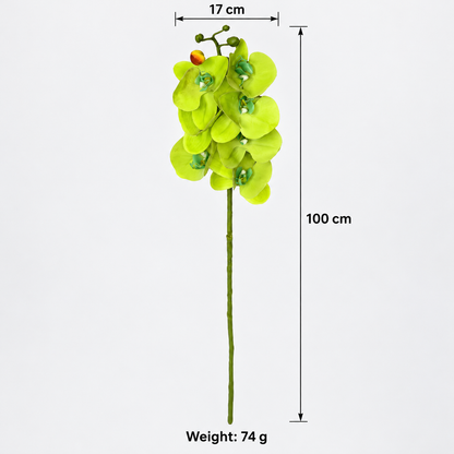 Artificial Light Green Orchid Flower Stick – 100 cm Decorative Floral Stem for Home, Office & Wedding Décor