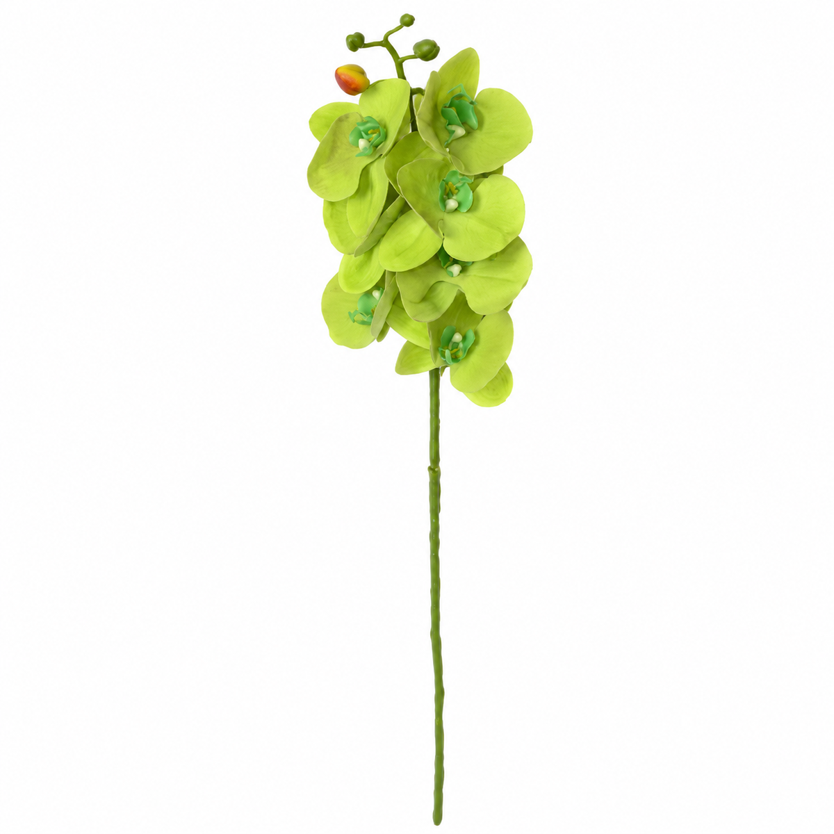 Artificial Light Green Orchid Flower Stick – 100 cm Decorative Floral Stem for Home, Office & Wedding Décor