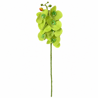 Artificial Light Green Orchid Flower Stick – 100 cm Decorative Floral Stem for Home, Office & Wedding Décor