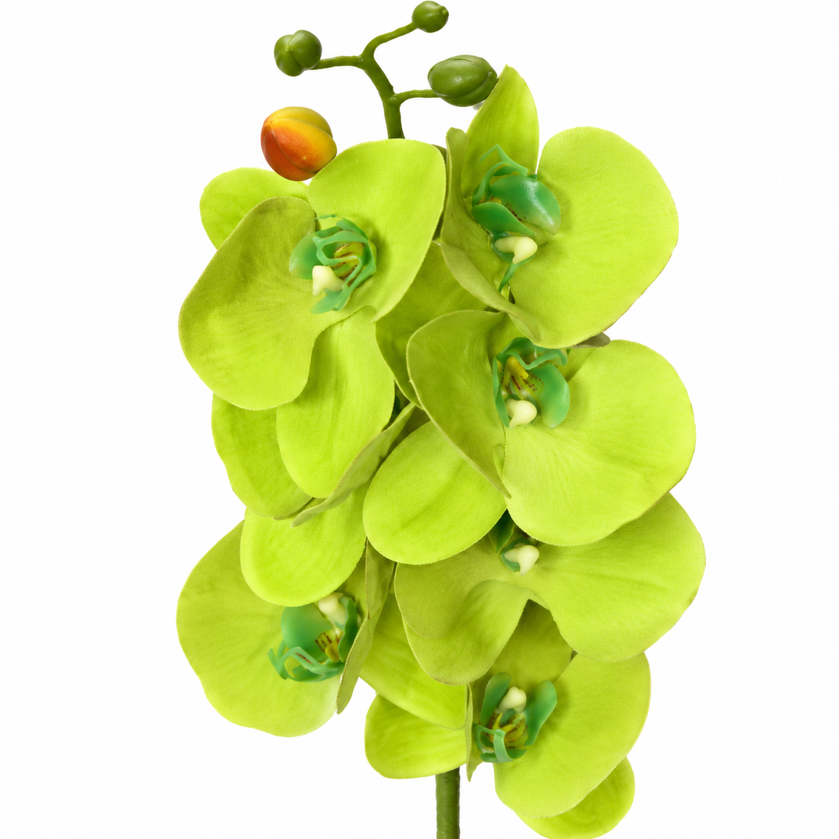Artificial Light Green Orchid Flower Stick – 100 cm Decorative Floral Stem for Home, Office & Wedding Décor