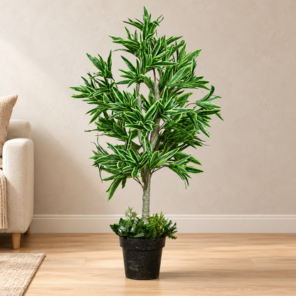 Artificial Variegated Song of India Potted Tree