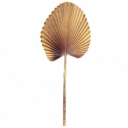 Artificial Beige & Brown Fan Palm Leaf Stick – 65 cm Decorative Stem for Vases, Home & Wedding Décor