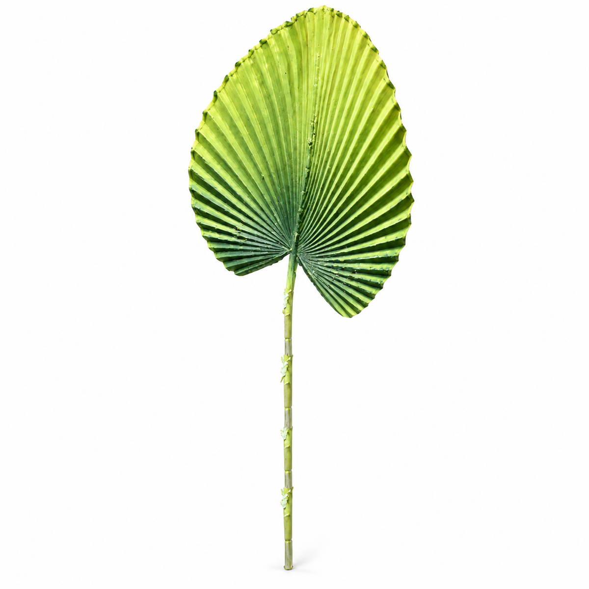 Artificial Green Fan Palm Leaf Stick – 65 cm Decorative Tropical Stem for Vases, Home & Wedding Décor