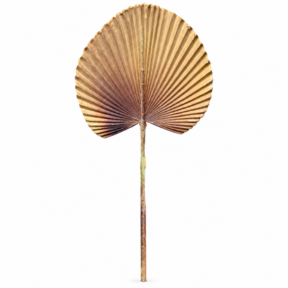Artificial Beige & Brown Fan Palm Leaf Stick – 65 cm Decorative Stem for Vases, Home & Wedding Décor