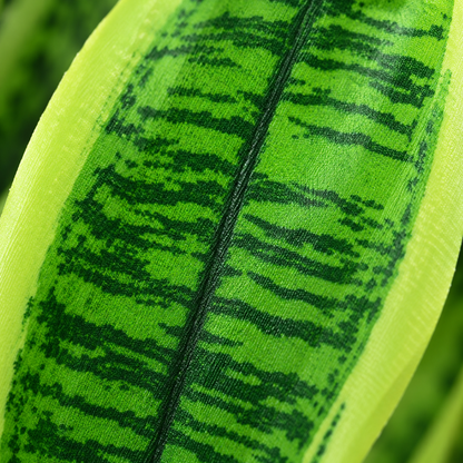 Artificial Snake Plant Leaf Bunch – 43 cm Variegated Green Foliage for Pots, Home & Office Décor