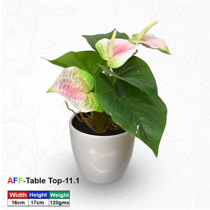Artificial Succulent Tropical Anthurium Tabletop Pot