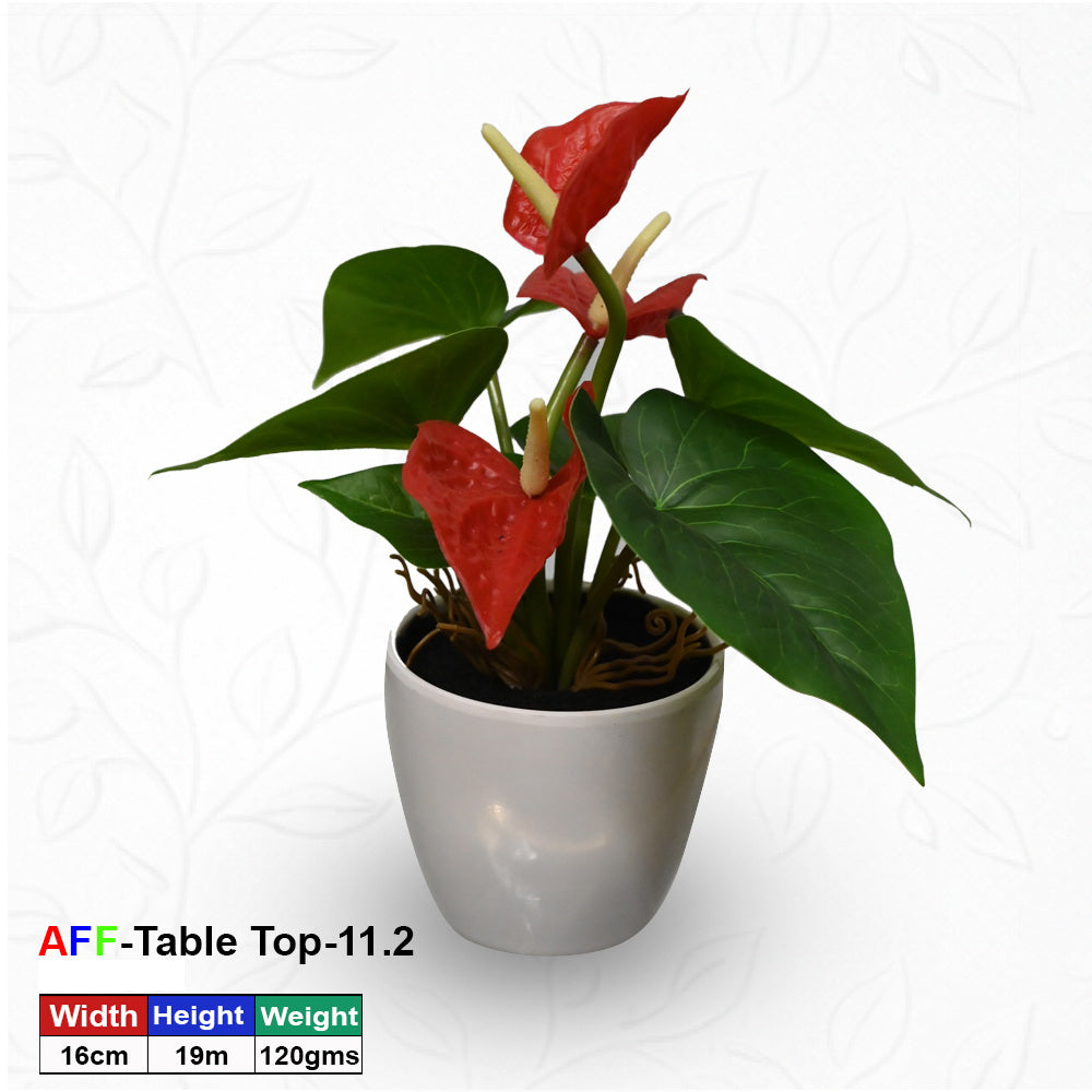 Artificial Succulent Tropical Anthurium Tabletop Pot