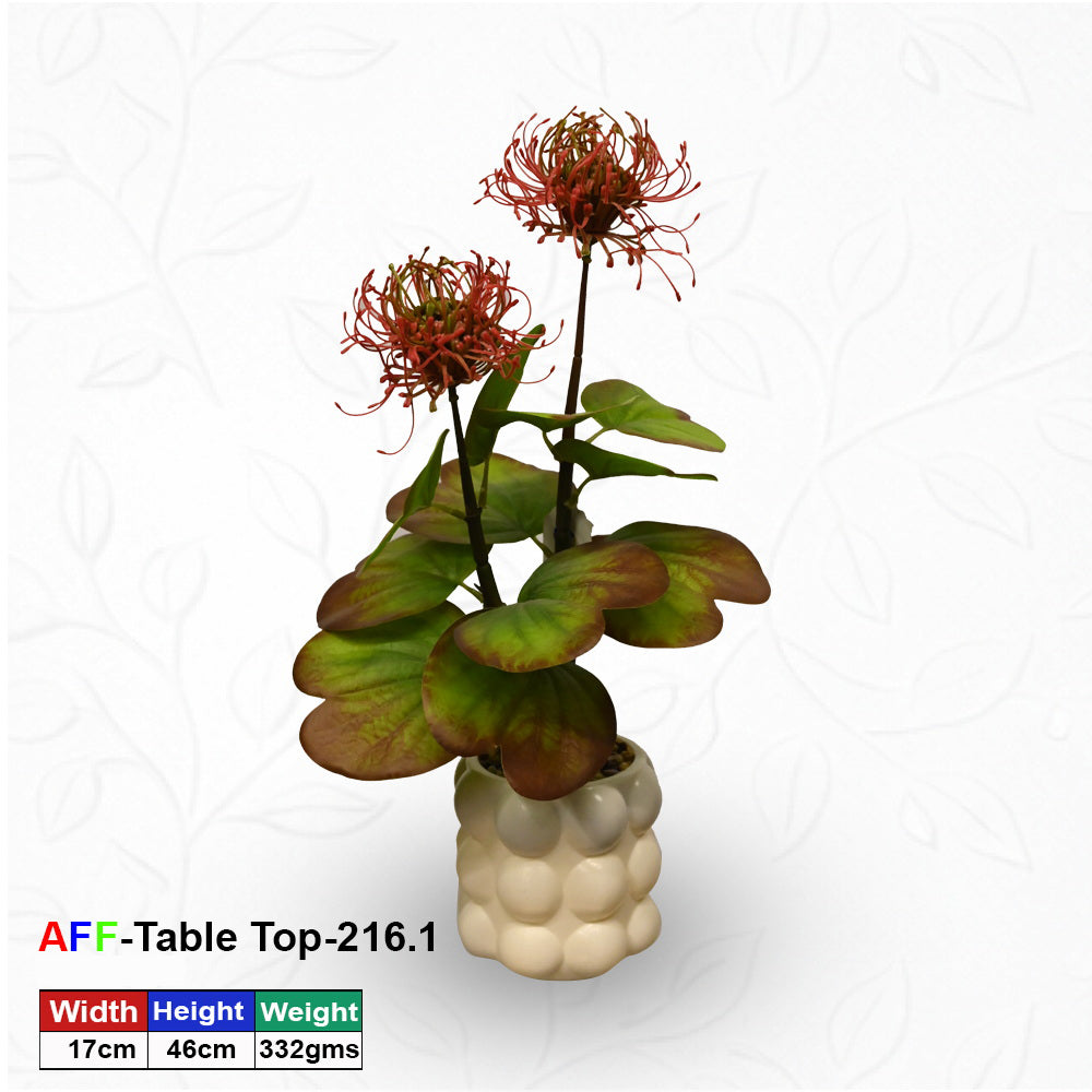 Artificial Succulent Pincushion Protea Tabletop Pot