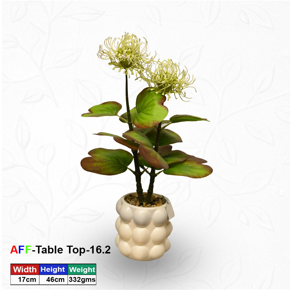 Artificial Succulent Lime Pincushion Protea Tabletop Pot