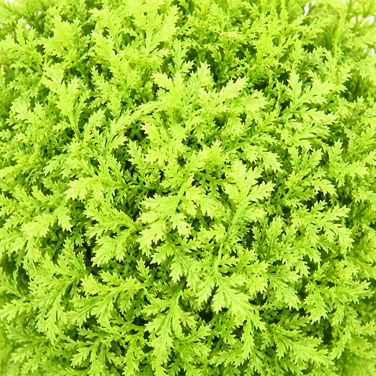 Artificial lime green four-ball topiary in white planter - detail