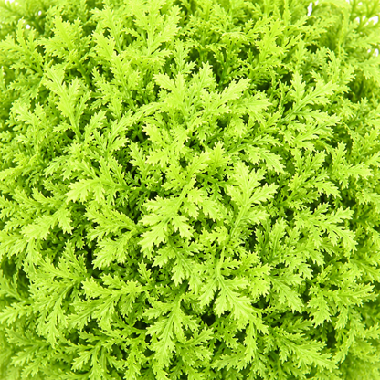 Artificial lime green four-ball topiary in white planter - detail