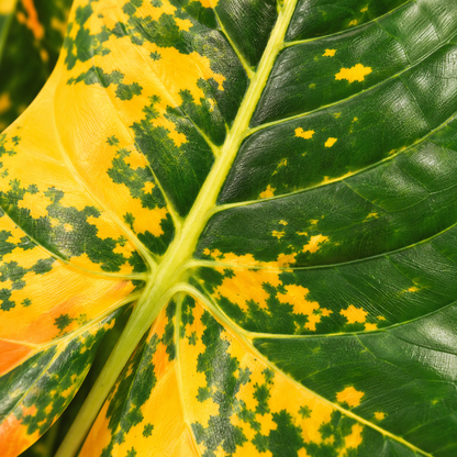 Artificial foliage plant 108 design 3 leaf close-up