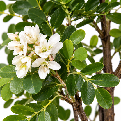 Artificial white flowering tree with pot 120 cm AFF-Plant-121 - detail