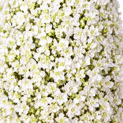 Artificial white floral cone topiary in square planter - detail